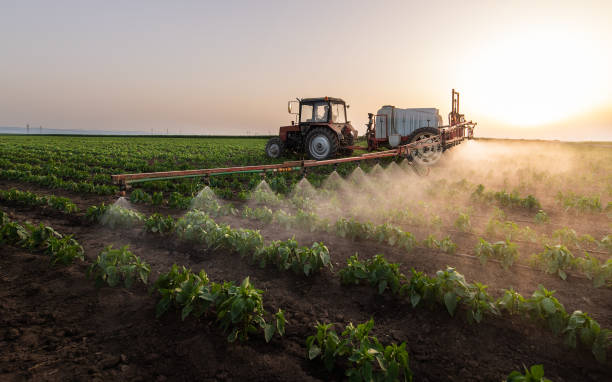 Best Mosquito Control Services  in Port Gibson, MS