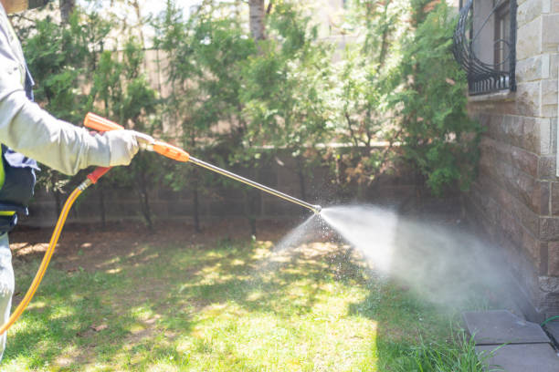 Best Best Pest Control Companies  in Port Gibson, MS