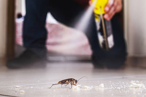 Best Wasp Removal Services  in Port Gibson, MS