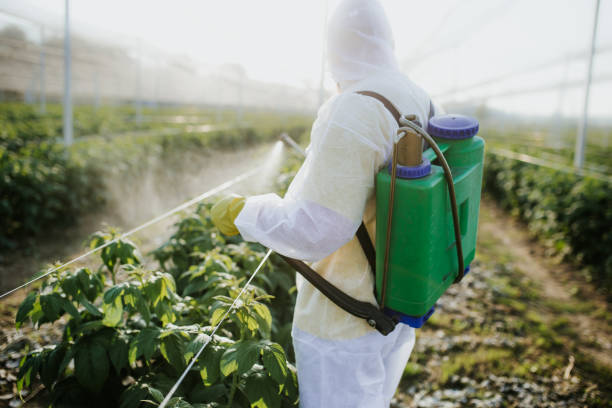 Best Commercial Pest Control Services  in Port Gibson, MS